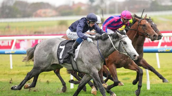 Public Attention (NZ) ridden by Ethan Brown wins the MRC Chairman's Club Handicap at Caulfield Racecourse on July 27, 2024 in Caulfield, Australia. (Photo by Scott Barbour/Racing Photos via Getty Images)