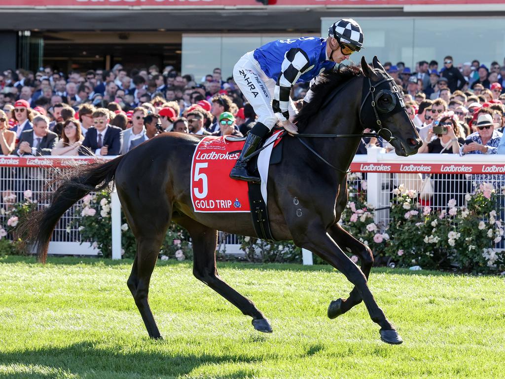 Reigning Melbourne Cup winner Gold Trip. Picture: George Sal