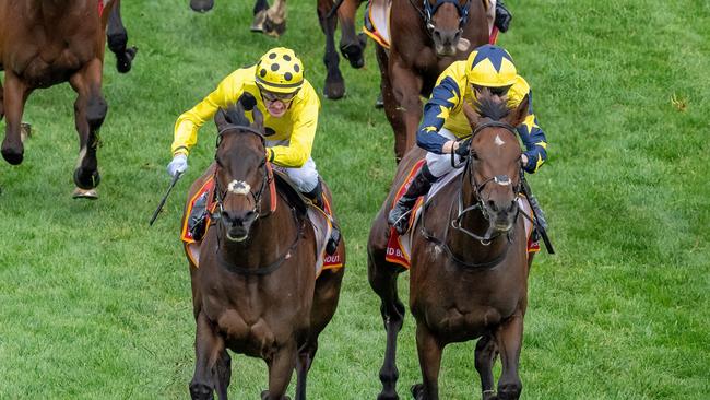 Without A Fight (IRE) ridden by Mark Zahra wins the Carlton Draught Caulfield Cup at Caulfield Racecourse on October 21, 2023 in Caulfield, Australia. (Photo by Jay Town/Racing Photos via Getty Images)