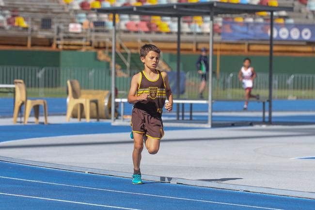 AIC Track &amp; Field Championships from QSAC, Photos by Stephen Archer