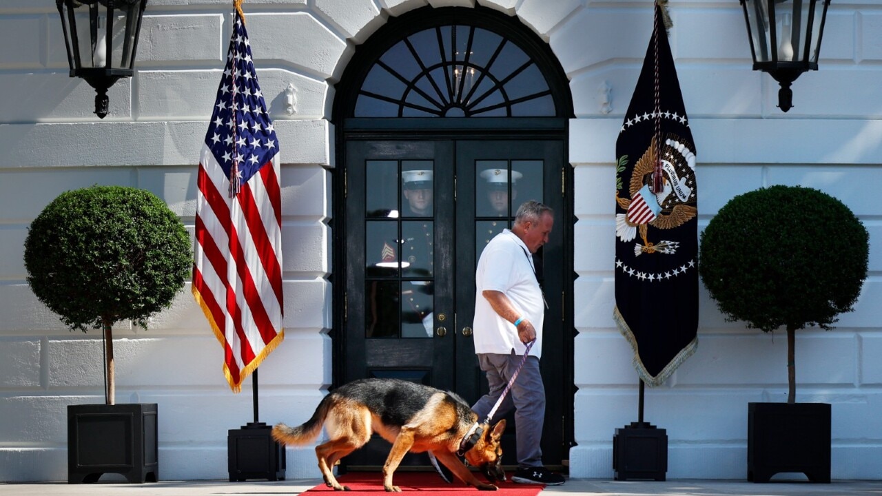 Joe Biden's dog creates 'a bit of strife' after biting another Secret Service agent