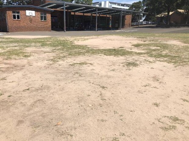 Brookvale Public School grounds.