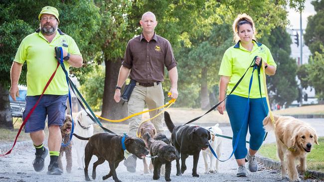 Dog Concierge dog walker Ken Phillips and Carly Fitzgerald are joined by Jonathan Whitelaw from Woofers World (centre) at Central Park in Malvern East. Picture: Jake Nowakowski