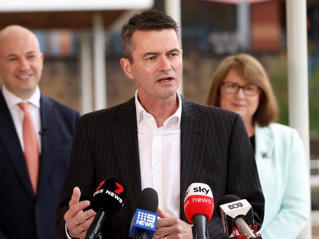 Former parliamentary secretary for Western Sydney Shayne Mallard also has a role within Liverpool Council. Picture: Damian Shaw