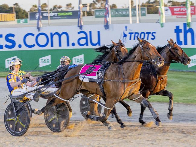 Race 5: Melton Park, Hunter Cup Night, Saturday 20-1-2024 Hip Pocket Castlemaine 4YO Bonanza (Group 2) Winner: Frankie Ferocious (8) Trainer: Jason Grimson; Driver: Cameron Hart Race Distance: 1,720 metres, Mile Rate: 1.51.6 photography: Stuart McCormick