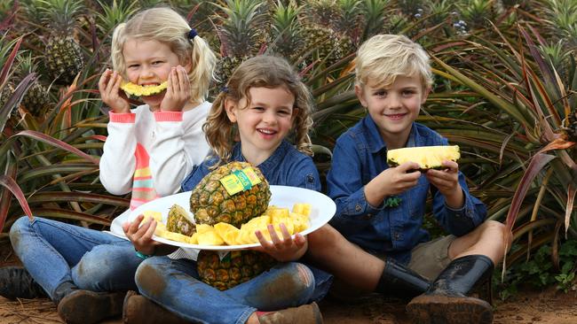 (From left) Taylah, 7, and Sarsha Scott, 5, and Oliver Gannon eating pineapples on a farm in Beerwah. Photographer: Liam Kidston