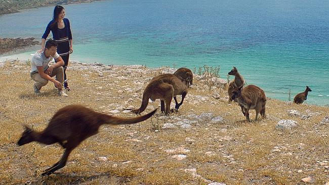 South Australia, including Kangaroo Island, will be on show to top ranking global decision makers during the three-day World Routes forum in 2019. .