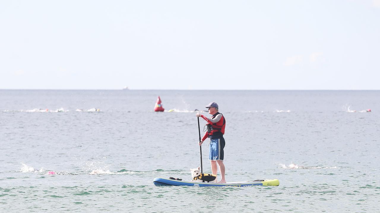 Australia Day Ocean Swim at Kingston Beach. Picture: Nikki Davis-Jones