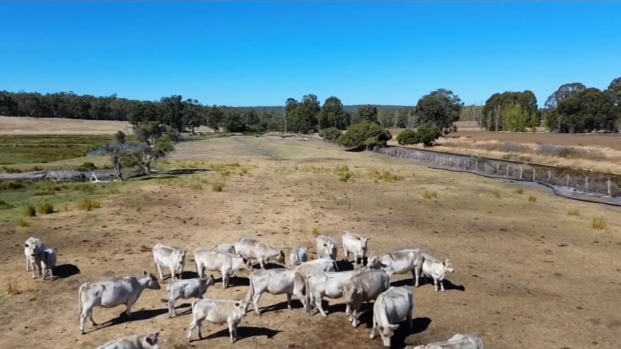 WA farmers hold an urgent meeting amid record-breaking dry spell