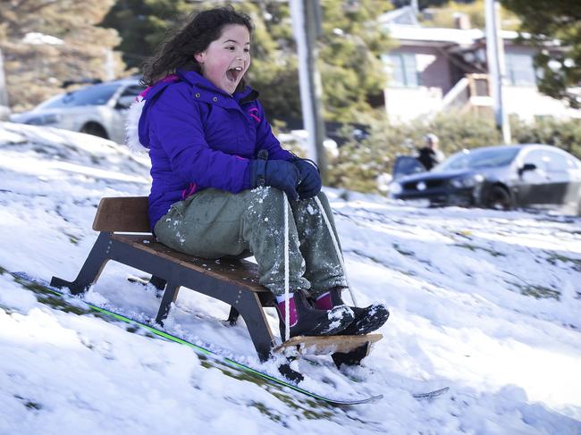 ‘Magical’ sight as thick snow blankets Tassie