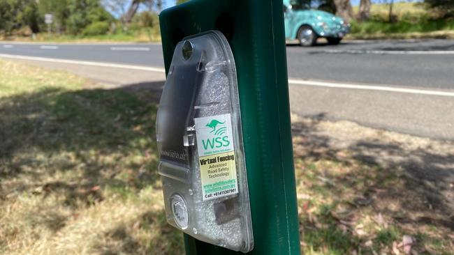 Virtual fencing is being trialled on the Mornington Peninsula to help protect native animals. Picture: supplied