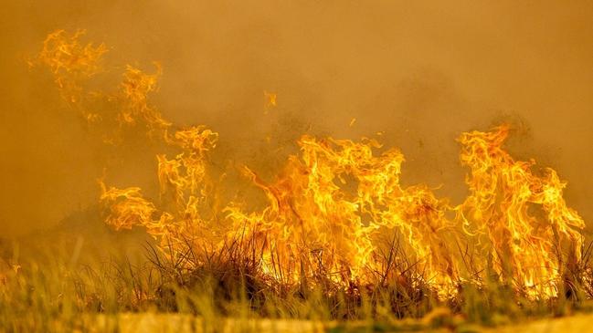 Fraser Island fire photos from ABC Sunshine Coast