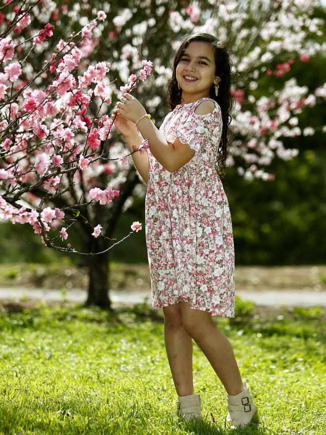 Lulu from Parramatta enjoys The cherry blossoms in the Wistaria Gardens at Parramatta Park. Picture: John Appleyard