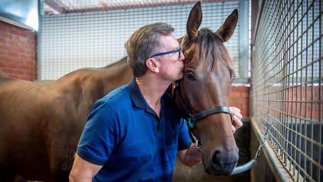 Alligator Blood’s cult status is taking trainer David Vandyke’s story to a wider audience. Picture: Jay Town