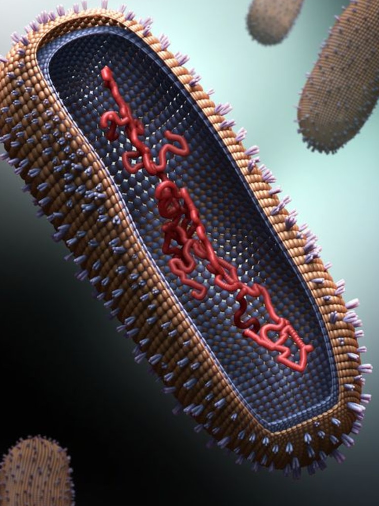 Influenza virus type B.