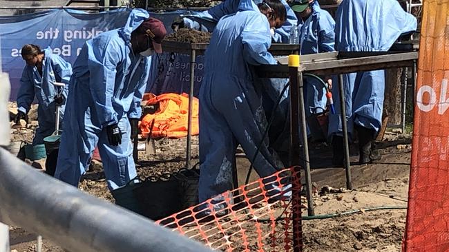 Contractors working at the reserve behind Little Manly Beach on Friday to locate and remove asbestos fragments from the soil that were uncovered during upgrade work at the park. Picture: Jim O'Rourke