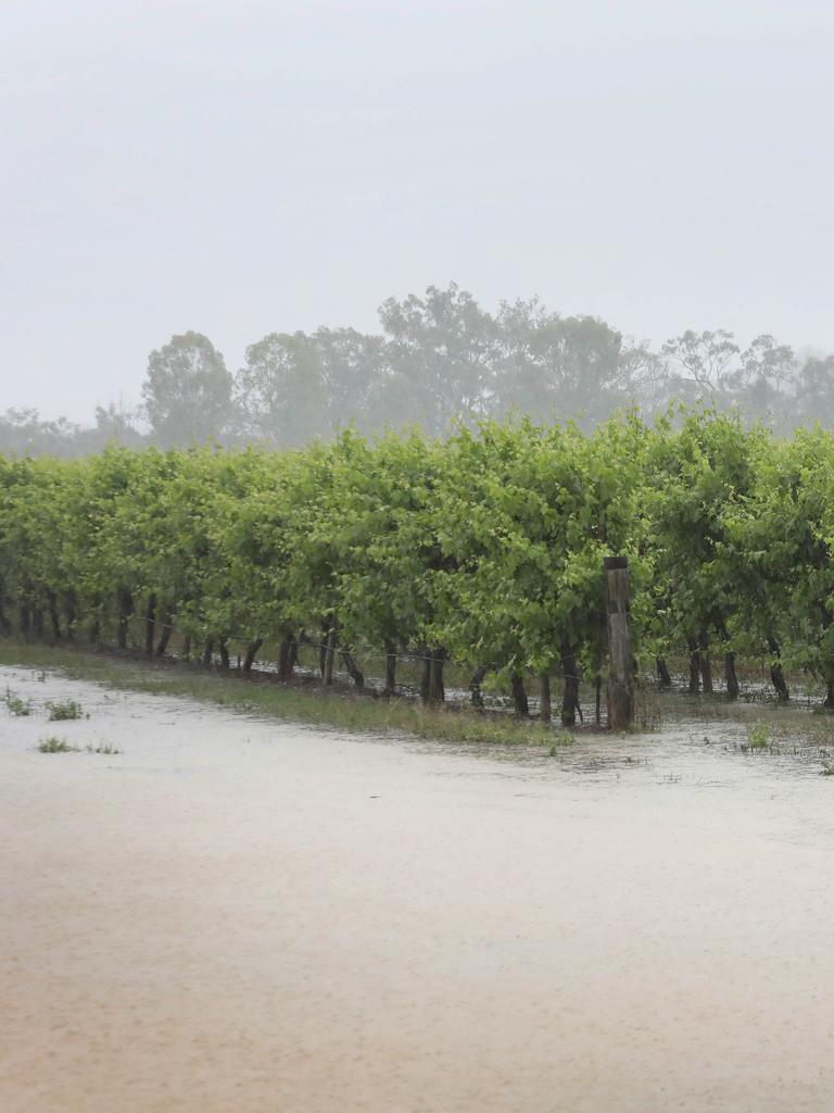 Heavy rains caused flash floods in Berri yesterday. Picture: Dean Martin