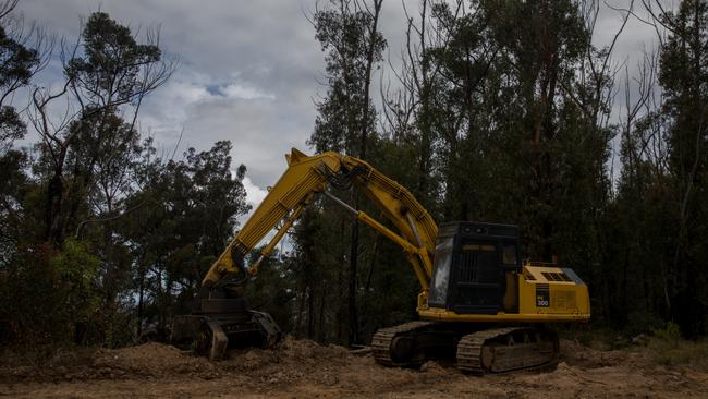 Logging equipment in Shallow Crossing State Forest. Picture: Nathan Schmidt