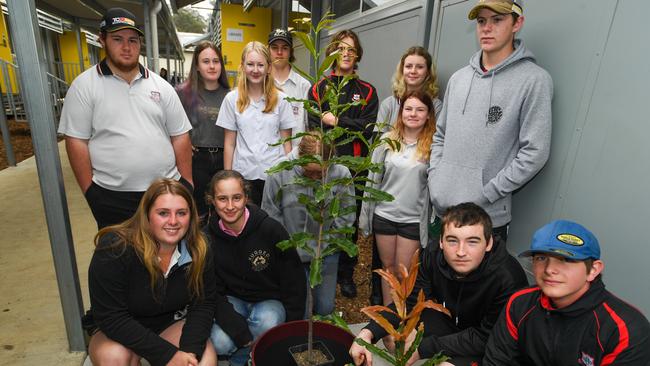 Ag students go nuts over rare macca trees