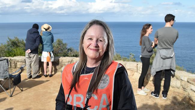 ORRCA volunteer and vice president Jools Farrell at North Bilgola. Picture: Troy Snook