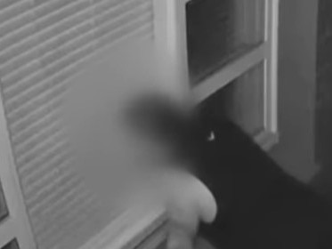 Watch: ‘Creepy’ peeping Tom terrorising blue chip SA suburb