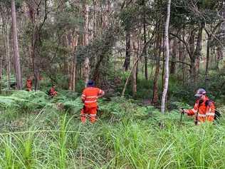 SEARCH CONTINUES: Sunshine Coast SES volunteers assisting QPS in a land search around the Mooloolah Valley area for missing Landsborough teenager, Michael Ryan. Photo: Nambour SES