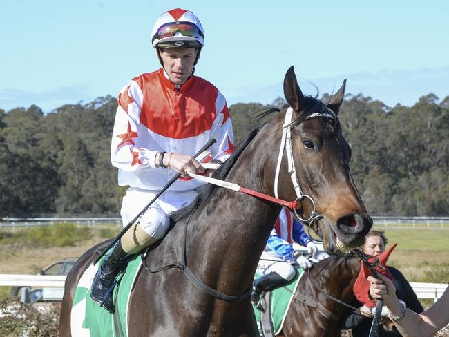 Race 3 - Nowra, 23 July 2023, Winner - Hobbsy, Jockey - Nick Heywood, Picture: Bradley Photos