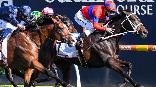Verry Elleegant (NZ) ridden by Mark Zahra wins the Stella Artois Caulfield Cup at Caulfield Racecourse on October 17, 2020 in Caulfield, Australia. (Pat Scala/Racing Photos via Getty Images)