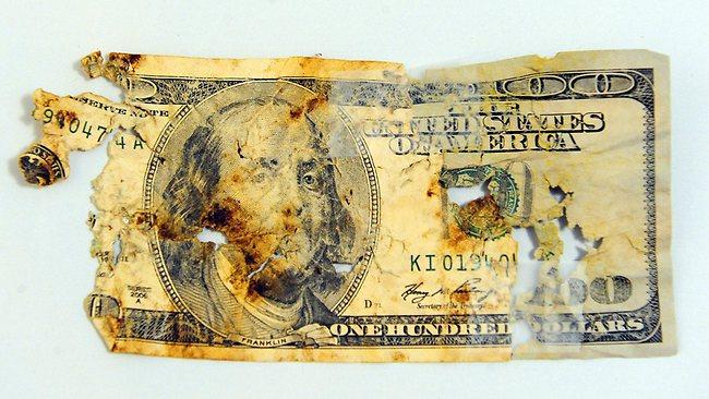 Dog Eats Cash: after golden retriever, Sundance, ate five $100 bills, his owner sendt the remains to the US Federal Reserve. Photo: AP Photo/The Independent Record, Eliza Wiley