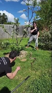 Snake Hunter Mark Pelley catches snakes with his daughter