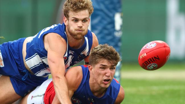 AFL action returns to Blundstone Arena as North Melbourne takes on the Brisbane Lions. Picture: Getty