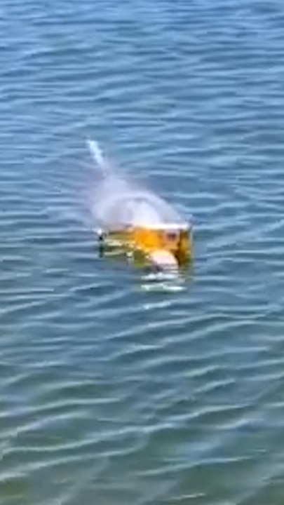 Incredible moment dolphin balances beer on its beak