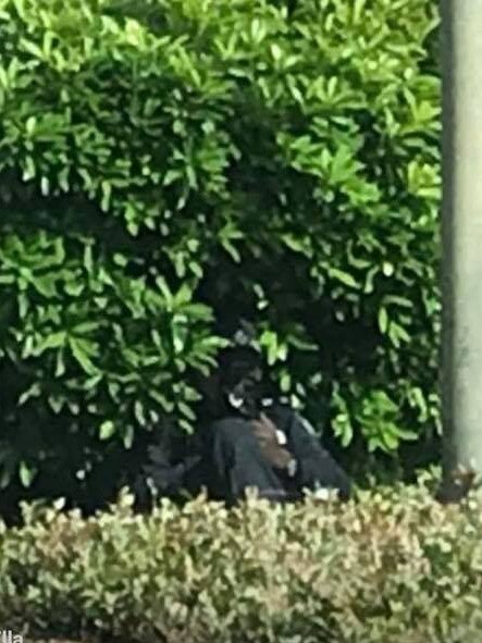 Social media users slammed the act online, posting pictures of the police officer targeting speeding motorists while hiding in bushes. Picture: Facebook