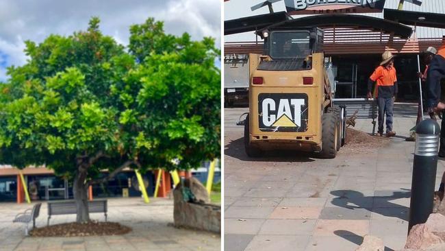 Council crews have chopped down the ‘Tuckeroo tree' outside the Burdekin Theatre. Pictures: Supplied