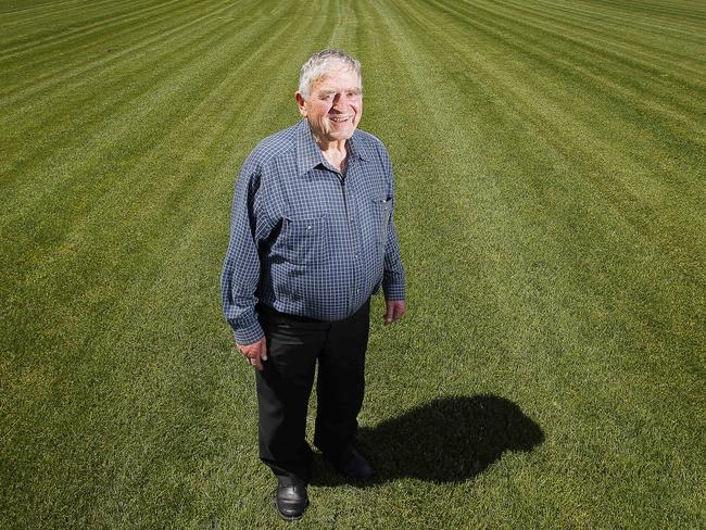 Bill Casimaty in one of his paddocks of turf, ready for harvest. Bill of StrathAyr turf of his family farm.