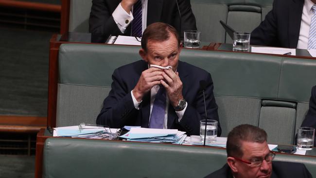 Former Prime Minister Tony Abbott in Question Time today. Photo: Gary Ramage