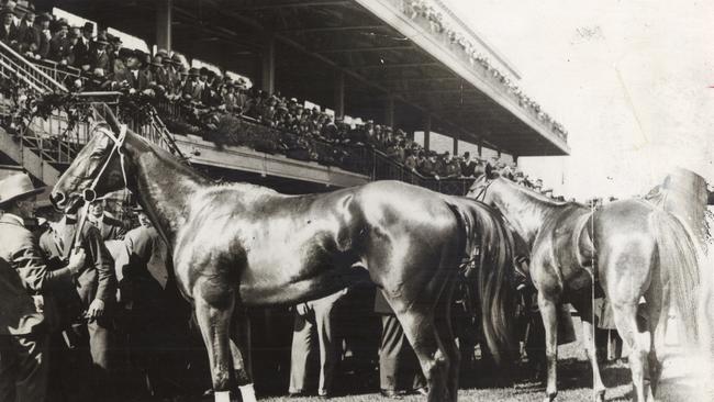 Phar Lap after his victory in the 1930 Melbourne Cup.