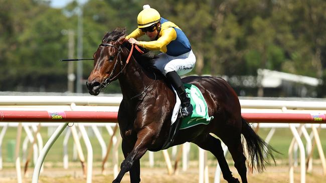 WYONG, AUSTRALIA - JANUARY 11: Adam Hyeronimus riding Bonita Queen win Race 5 Wyong Equine Clinic during Sydney Racing: Wyong 150th Anniversary And The Lakes Race Day at Wyong Racecourse on January 11, 2025 in Wyong, Australia. (Photo by Jeremy Ng/Getty Images)