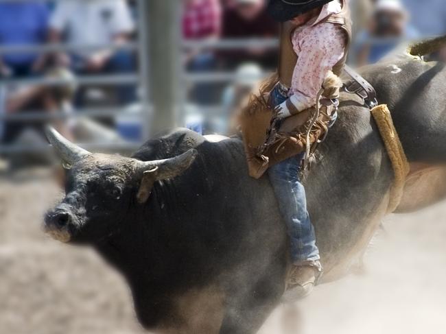 Bull riding generic