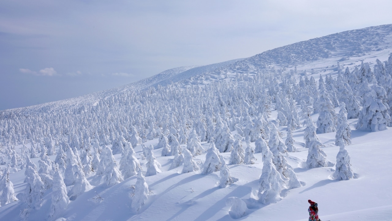 Zao Onsen Ski Resort's snow monsters are Japan's wildest winter
