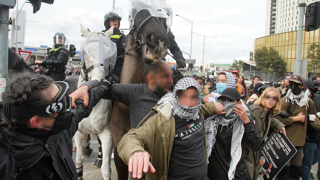 Police horses were shoved and pulled on Wednesday, and horse manure was thrown at officers. Picture: NewsWire / Luis Enrique Ascui