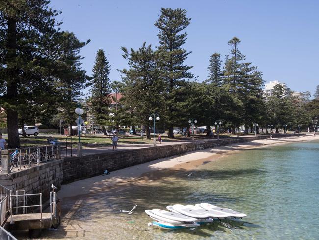 East Esplanade Reserve has been the subject of much debate over consumption fo alcohol. Picture: Julian Andrews.