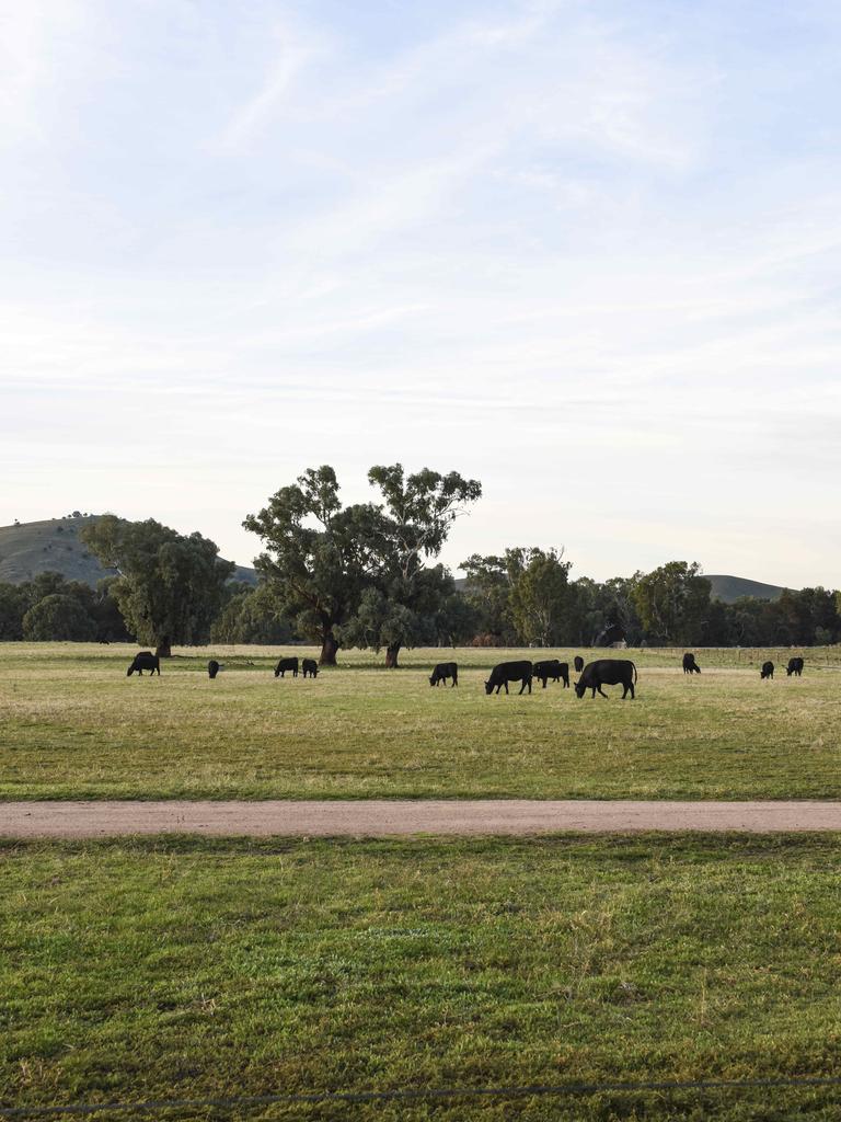 Establishing ecological balance is an important goal for the Austins. Picture: Dannika Bonser