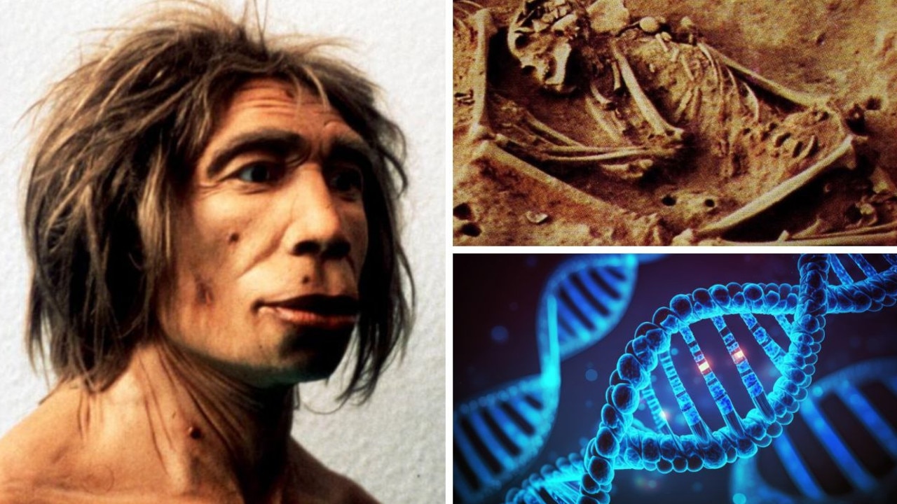 Wild archeological find changes everything