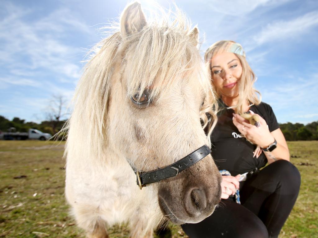 Kate Bijkerk with mini horse Jake and duckling Earnest. Picture: Steve Pohlner