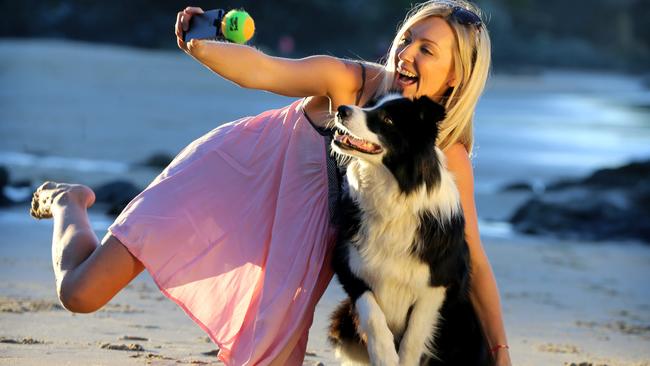 Picture Taking Dog Selfie Ball Launcher – Oh my Glad