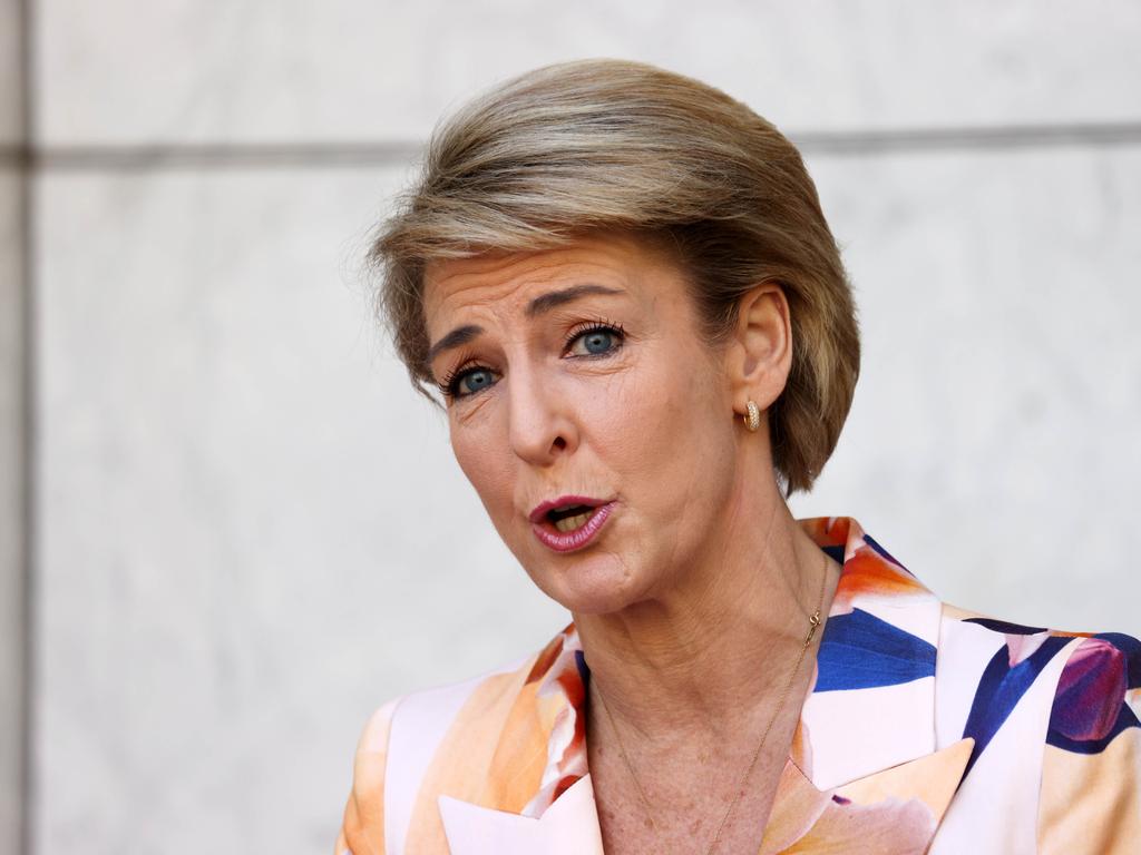 Michaelia Cash has become the Attorney-General and Industrial Relations Minister after acting in the role. Picture: NCA NewsWire / Gary Ramage