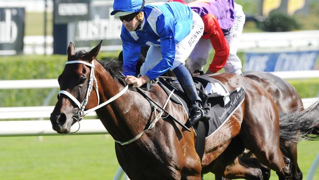 Champion mare Winx. Picture: Simon Bullard.