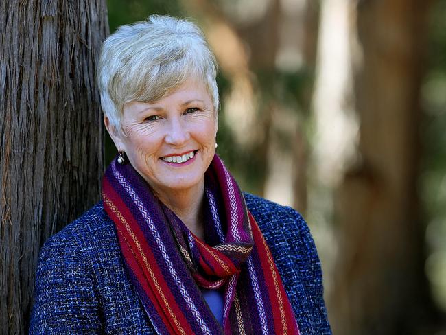 Christine Milne. Picture: SAM ROSEWARNE.