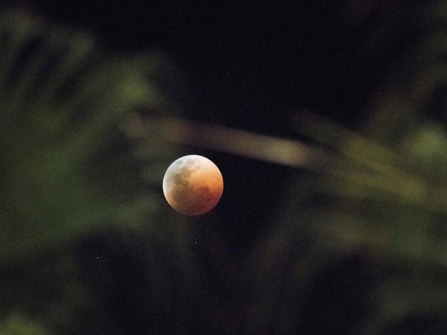 The full moon during a "blood moon" eclipse as seen from Cape Town. Picture: AFP